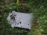 image of grave number 834283